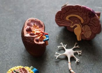 99 Anak Meninggal Karena Gangguan Gagal Ginjal Akut di Indonesia