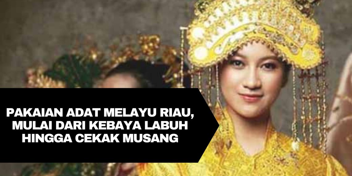 Pakaian adat melayu riau , mulai dari kebaya labuh hingga cekak musang