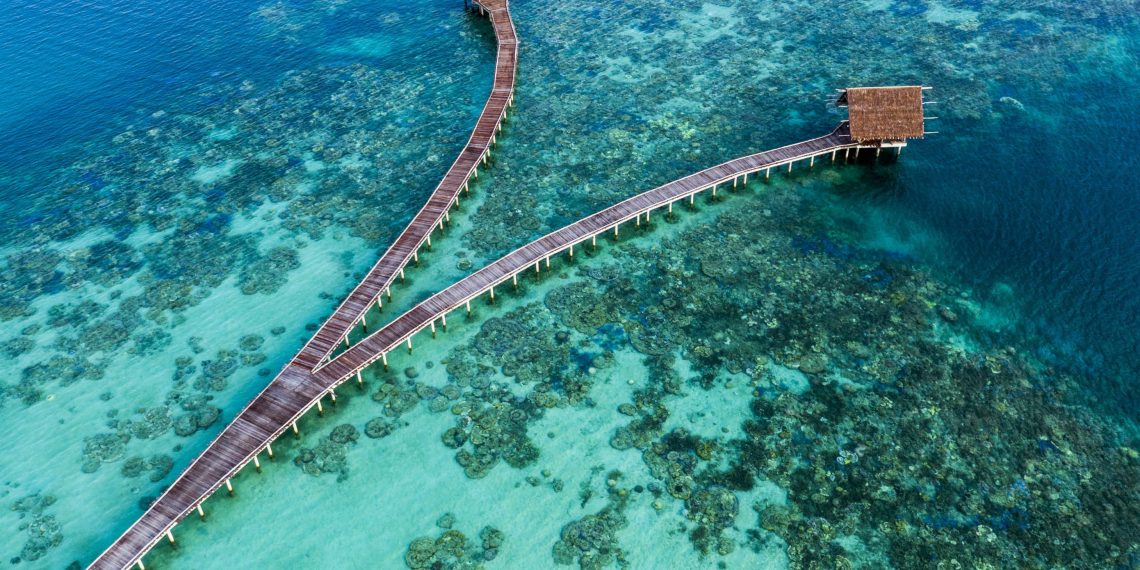 Aksi Hijau Cinta Alam Indonesia Bersama #SelamatkanPlanetKita