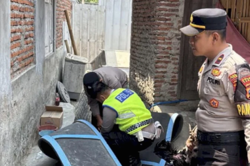 Respon Cepat Hotline 110, URC Polres Tegal Penggerebekan Sabung Ayam di Wangandawa #ReserseBekerja