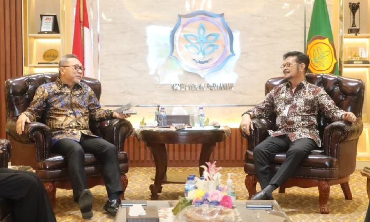 Beda data soal Gandum antara Kemendag dan Kementan
